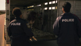 Moonshine S03E07 720p WEBRip x265-MiNX EZTV