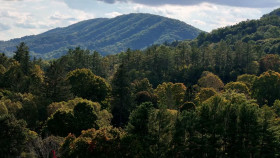 Moonshiners S14E07 720p HEVC x265-MeGusta EZTV