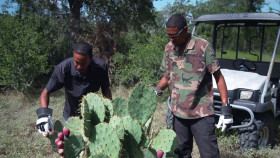 Moonshiners S14E10 1080p HEVC x265-MeGusta EZTV