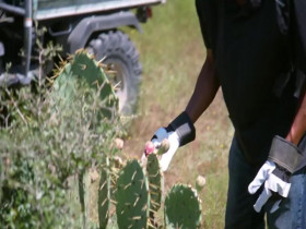 Moonshiners S14E10 480p x264-mSD EZTV