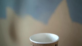 Motel Rescue S02E01 XviD-AFG EZTV