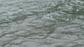 Mountain Men S11E10 1080p WEB h264-KOGi EZTV