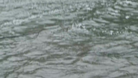 Mountain Men S11E10 720p WEB h264-KOGi EZTV