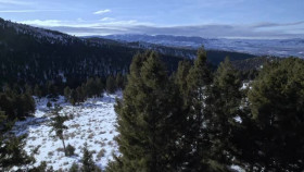 Mountain Men S12E04 XviD-AFG EZTV