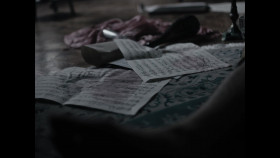 Mozart Rise Of A Genius S01E03 1080p HDTV H264-FTP EZTV