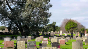 Ms Murder 2024 S01E03 720p WEB h264-DiRT EZTV