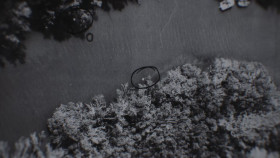 Murf The Surf S01E02 1080p HEVC x265-MeGusta EZTV