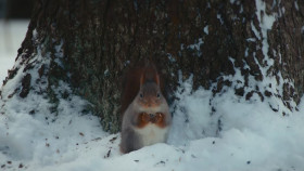 My Best Friends an Animal S01E02 1080p HEVC x265-MeGusta EZTV