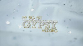My Big Fat American Gypsy Wedding S06E02 Gypsy Sisters Bridal Brawl 720p WEBRip x264-KOMPOST EZTV