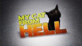 My Cat From Hell S01E03 Wildcat 720p WEB x264-GIMINI EZTV