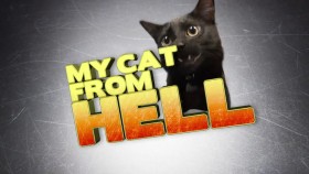 My Cat From Hell S04E03 Penny Hates Puck WEB x264-GIMINI EZTV