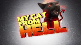 My Cat From Hell S04E05 Macho Cat WEB x264-GIMINI EZTV