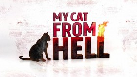 My Cat From Hell S08E03 Four Blind Cats My Cat From Heaven WEB x264-GIMINI EZTV