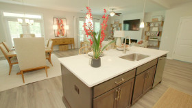 My Lottery Dream Home S16E09 1080p WEB h264-FREQUENCY EZTV