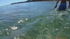 My Strange Arrest S02E16 1080p WEB h264-EDITH EZTV