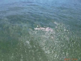 My Strange Arrest S02E16 480p x264-mSD EZTV