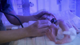 My True Crime Story S02E14 720p WEB h264-BAE EZTV