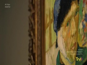 Mysteries At The Museum S23E05 Cosmic Collision Haunted Hotel and Van Goghs Ear 480p x264-mSD EZTV