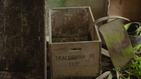 Mysteries of the Abandoned S11E02 1080p HEVC x265-MeGusta EZTV