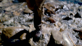 Mysterious Creatures with Forrest Galante S01E03 The Lake Chelan Dragon 1080p WEB h264-B2B EZTV