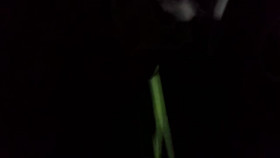 Mystery at Blind Frog Ranch S02E08 Darkness Danger and Death 720p HEVC x265-MeGusta EZTV