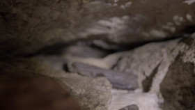 Mystery at Blind Frog Ranch S04E02 1080p HEVC x265-MeGusta EZTV