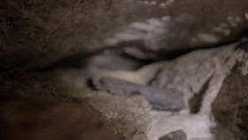 Mystery at Blind Frog Ranch S04E02 1080p WEB h264-FREQUENCY EZTV