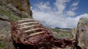 Mystery at Blind Frog Ranch S04E03 1080p WEB h264-FREQUENCY EZTV