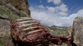 Mystery at Blind Frog Ranch S04E03 480p x264-RUBiK EZTV