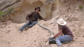 Mystery at Blind Frog Ranch S04E04 1080p WEB h264-FREQUENCY EZTV