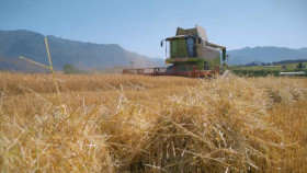 Nadias Farm S01E02 XviD-AFG EZTV