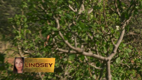 Naked and Afraid Last One Standing S02E01 1080p WEB h264-FREQUENCY EZTV