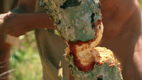 Naked And Afraid Last One Standing S02E03 On the Chopping Block 720p WEB h264-CBFM EZTV