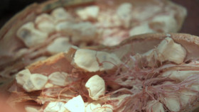 Naked and Afraid Last One Standing S02E05 1080p WEB h264-FREQUENCY EZTV