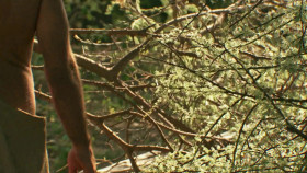 Naked and Afraid Last One Standing S02E09 1080p WEB h264-FREQUENCY EZTV