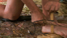 Naked and Afraid S10E19 Stalked on the Savannah Part 1 1080p AMZN WEB-DL DDP2 0 H 264-NTb EZTV