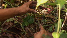 Naked and Afraid XL S10E05 1080p HEVC x265-MeGusta EZTV