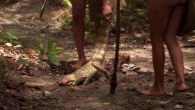 Naked and Afraid XL S10E05 Caiman Killers on the Loose 1080p MAX WEB-DL DD 2 0 H 264-playWEB EZTV