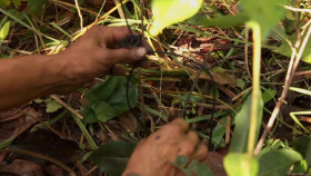 Naked And Afraid XL S10E05 Caiman Killers on the Loose XviD-AFG EZTV