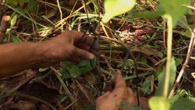 Naked and Afraid XL S10E05 XviD-AFG EZTV