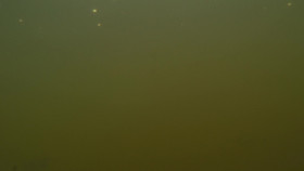 Naked and Afraid XL S10E07 1080p WEB h264-EDITH EZTV