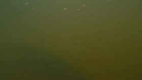 Naked And Afraid XL S10E07 720p WEB h264-CBFM EZTV