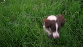 Narrow Escapes S01E16 1080p WEB H264-CBFM EZTV