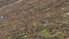 National Parks from Above S01E01 1080p WEB H264-CBFM EZTV