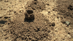 National Parks USA S01E05 Zion 1080p DSNP WEB-DL DDP5 1 H 264-NTb EZTV