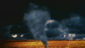 Nature Gone Wild S01 1080p WEBRip AAC2 0 x264-BAE EZTV