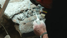 Nature S42E11 720p x264-FENiX EZTV