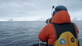 Nature S43E08 Expedition Killer Whale 720p HEVC x265-MeGusta EZTV