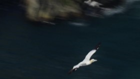 Nature Through Her Eyes S01E04 One World DOCU 1080p WEB h264-HONOR EZTV