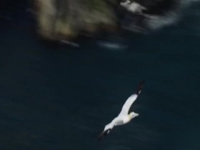 Nature Through Her Eyes S01E04 One World DOCU 480p x264-mSD EZTV
